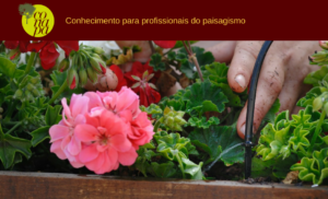 Curso de Irrigação para Jardins Verticais e Telhados Verdes; Irrigação para Jardins Verticais e Telhados Verdes; Jardins Verticais; Paisagismo; Jardins; Irrigação;