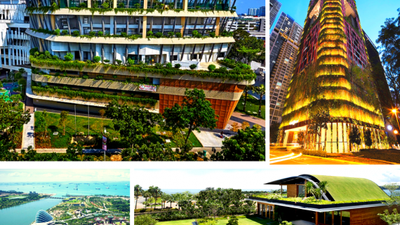 Singapura tem construções verdes que todo paisagista deve conhecer