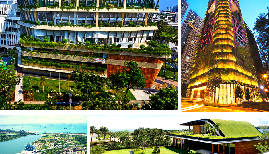 Singapur tiene edificios ecológicos que todo paisajista debería conocer