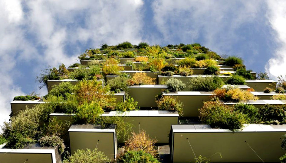 Inspirações de jardins verticais em prédios