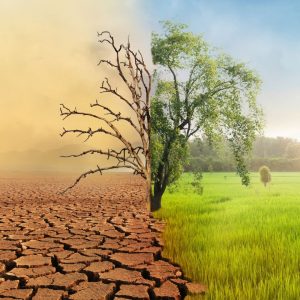 Consumo e mudanças climáticas